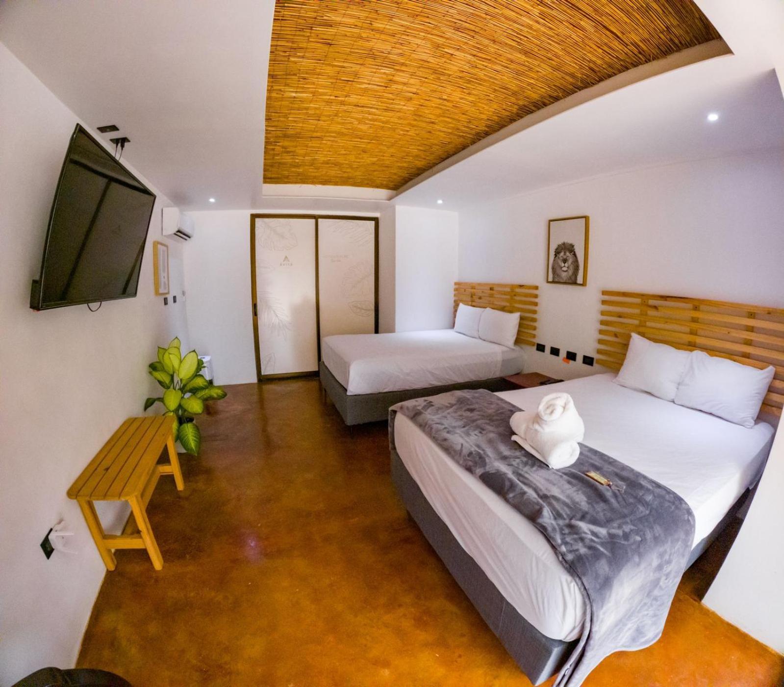 Avita Lodge Quesada  Exteriér fotografie